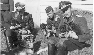 Soldiers and puppies
