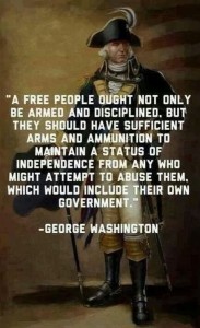 Washington Gun Freedom
