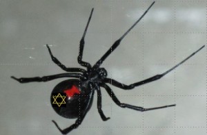 black widow star of david