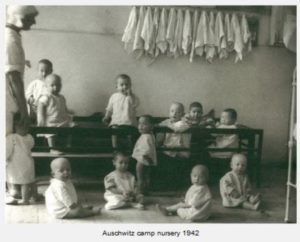Auschwitz Babies